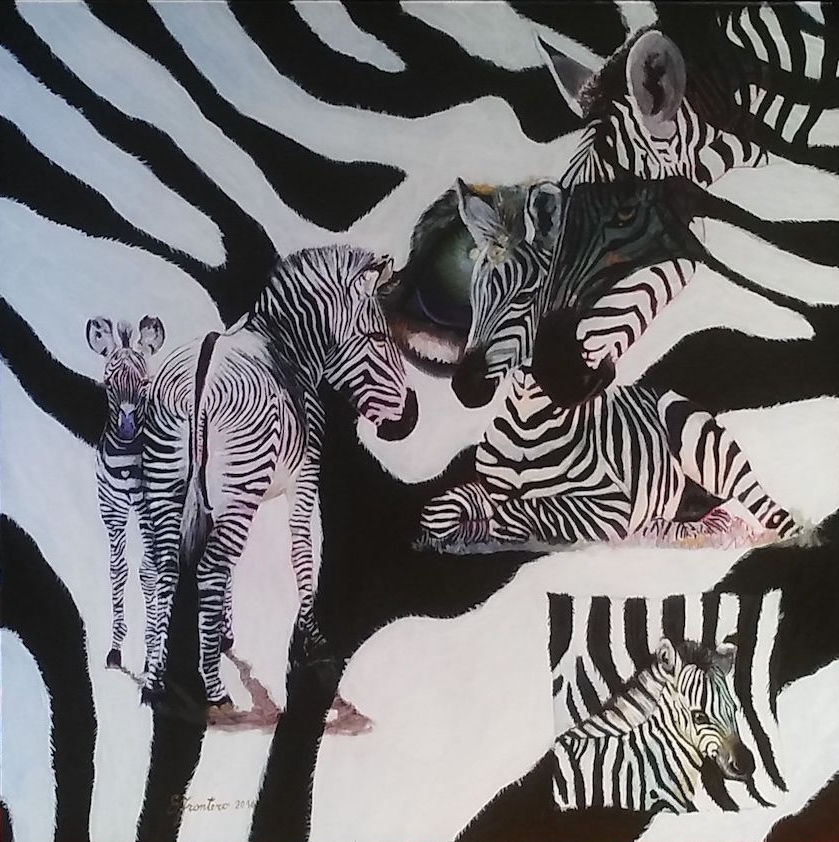 mondo zebrato